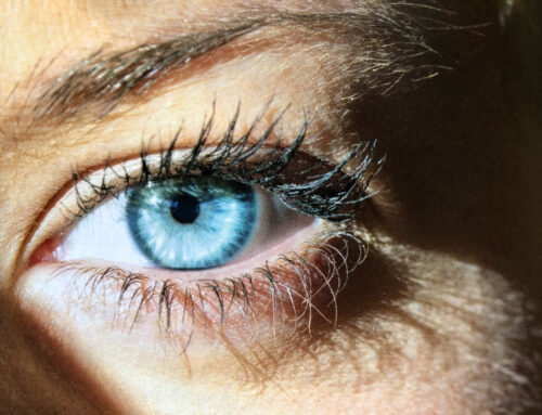 Deine menschliche Erneuerung