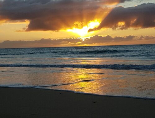 erwecken – erwachen – erlösen